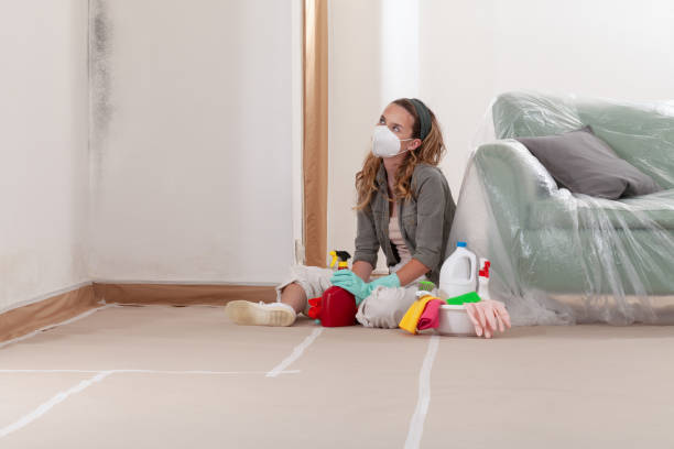 Reliable Mold Cleanup contractor in Marne, MI by WQB Mold Removal